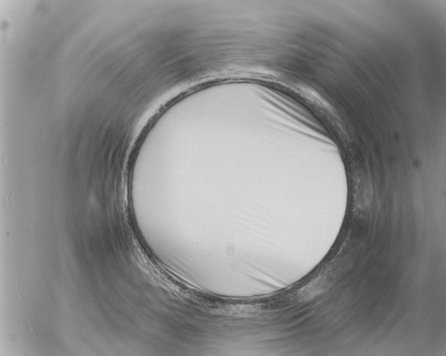 X0000054431280200508262338