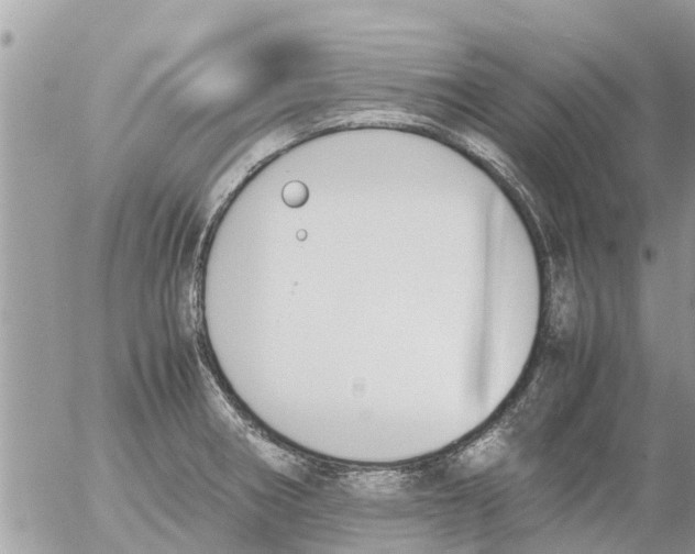 X0000054431282200508262338