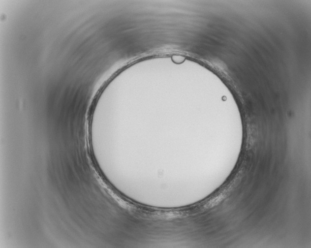 X0000054431286200508262338