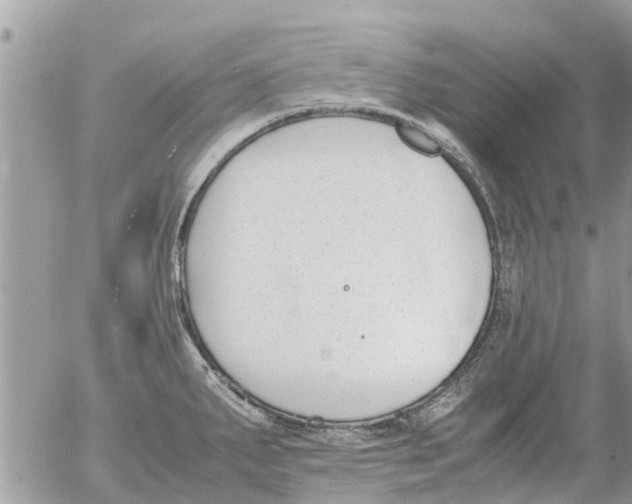 X0000054431287200508262338