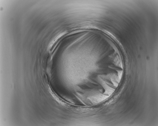 X0000054431289200508262338