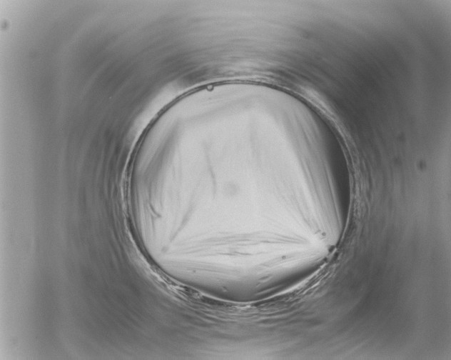 X0000054431291200508262338