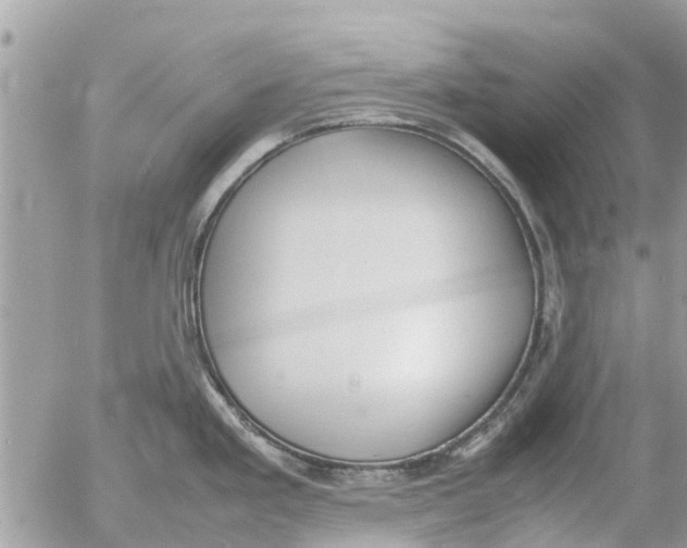 X0000054431293200508262338