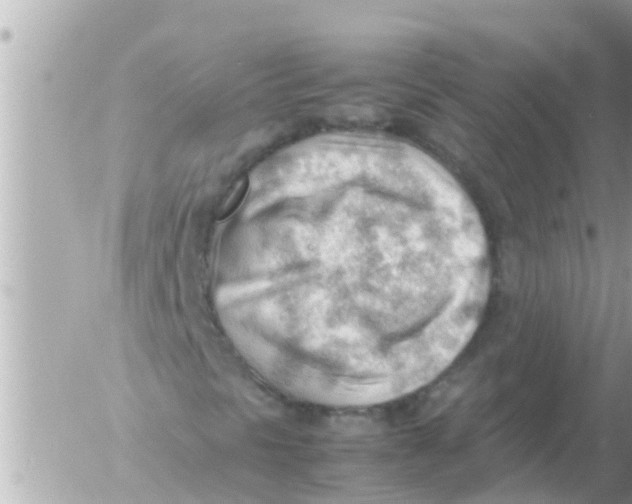 X0000054431297200508262337