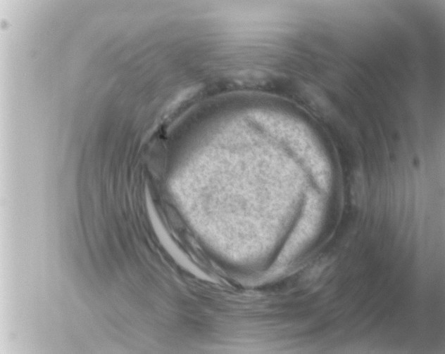 X0000054431298200508262337