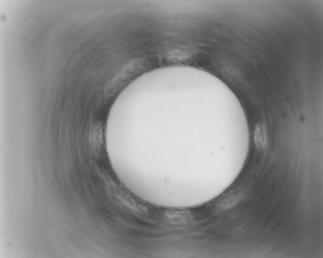 X0000054431299200508262337