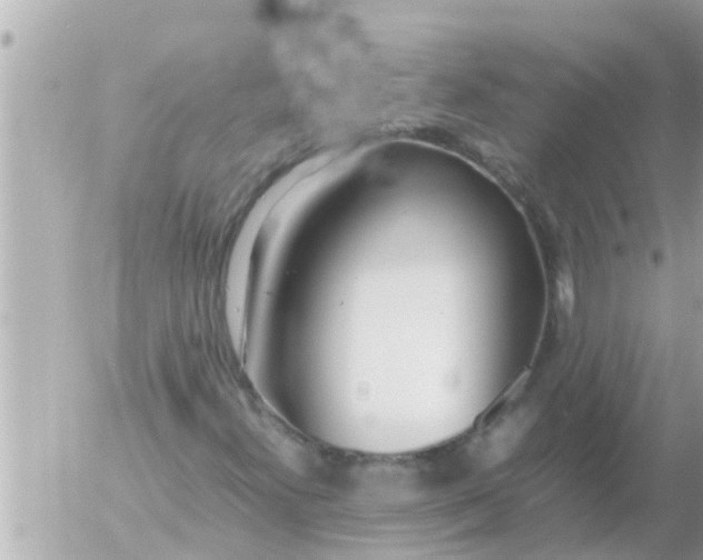 X0000054431300200508262337