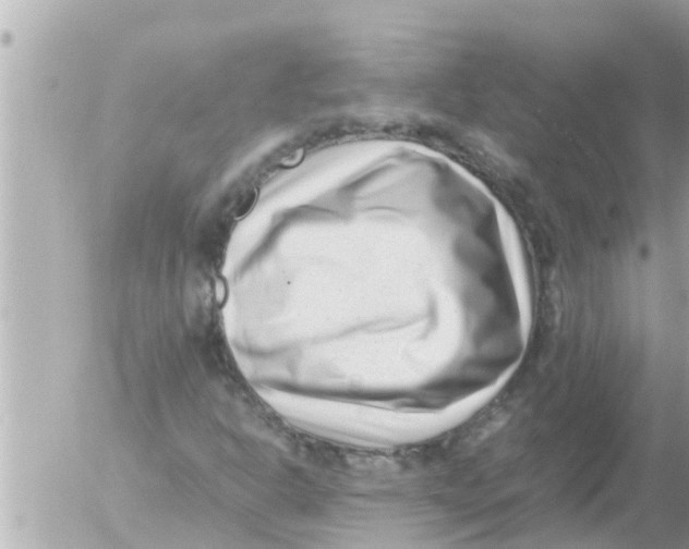 X0000054431302200508262337