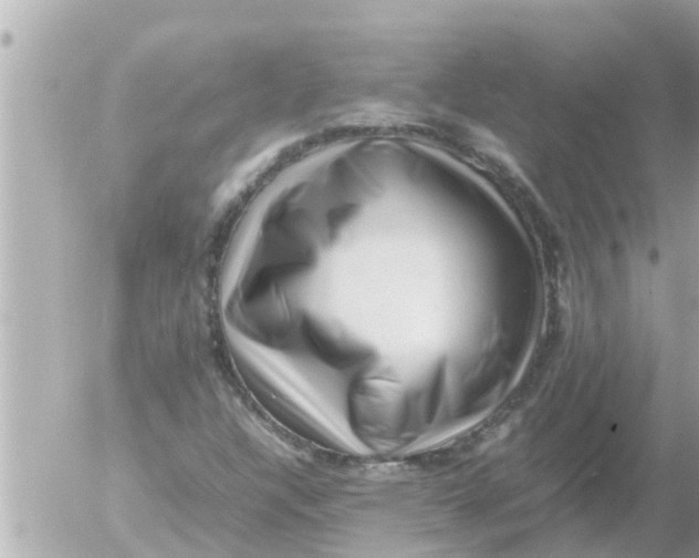 X0000054431304200508262337