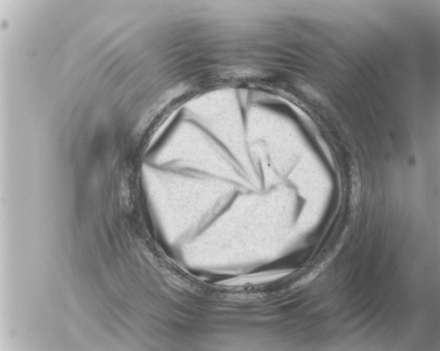 X0000054431305200508262337