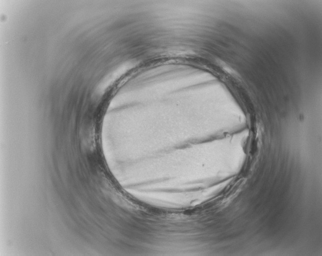 X0000054431306200508262337