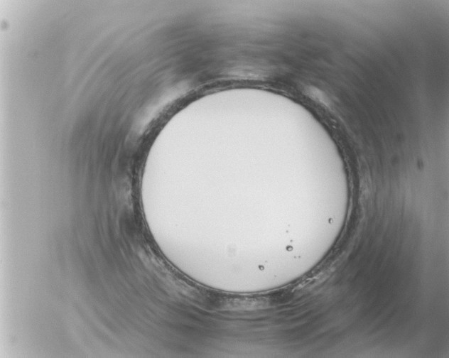 X0000054431307200508262337