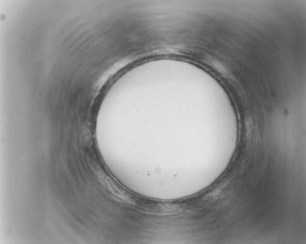 X0000054431308200508262337