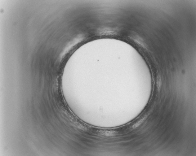 X0000054431309200508262337