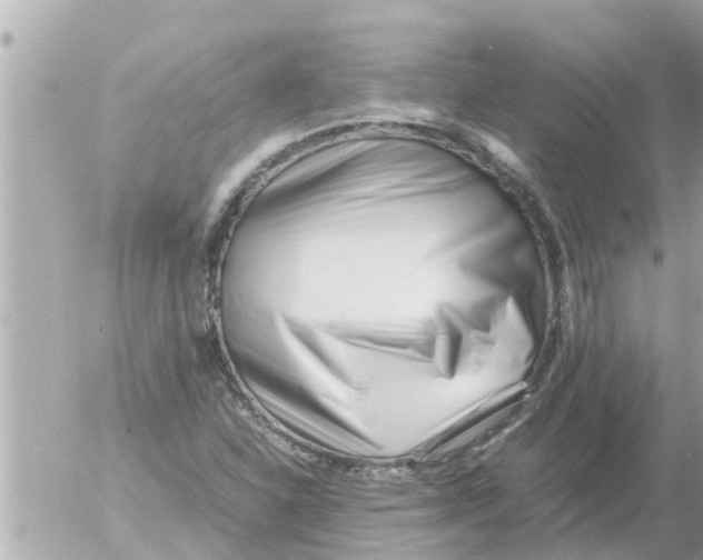 X0000054431310200508262337