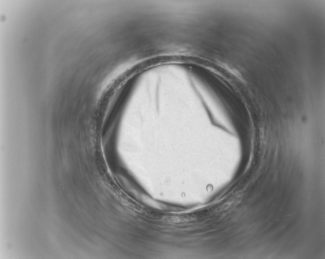 X0000054431311200508262337