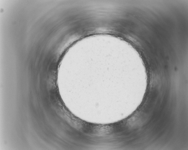 X0000054431314200508262337