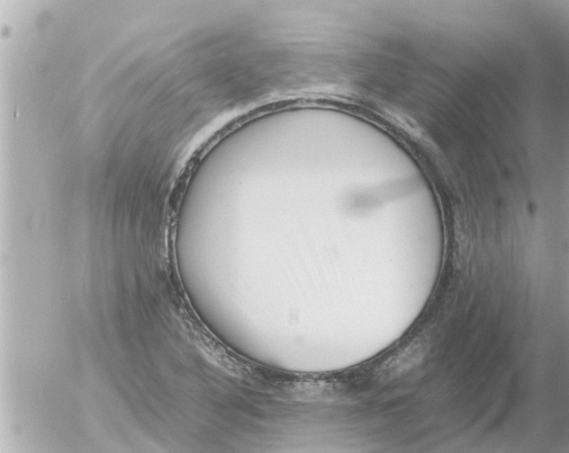 X0000054431316200508262337