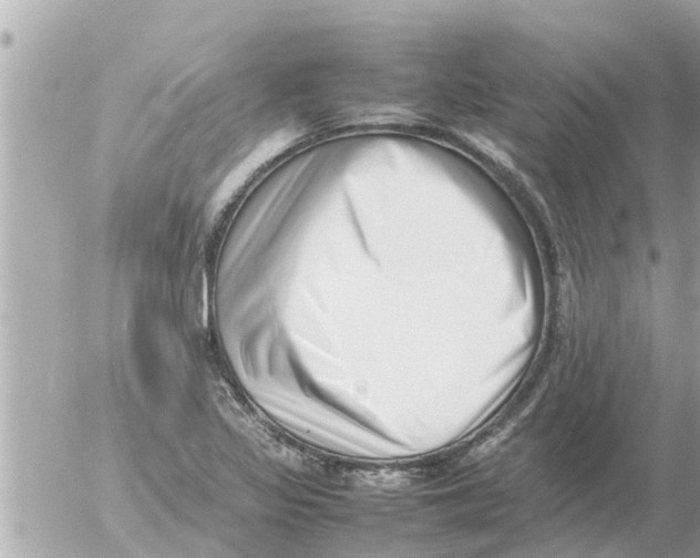 X0000054431317200508262337