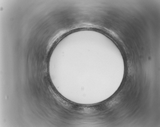 X0000054431318200508262337