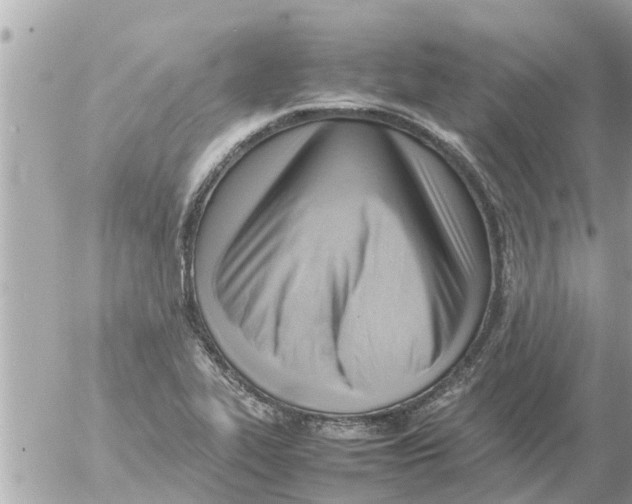 X0000054431319200508262337