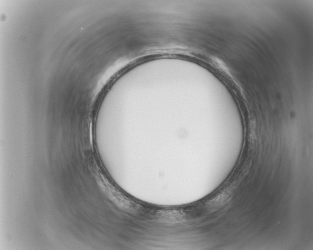 X0000054431320200508262337