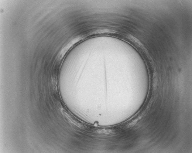 X0000054431321200508262337