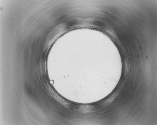 X0000054431322200508262337