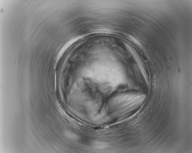 X0000054431323200508262337