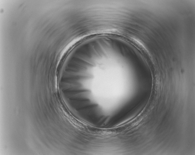 X0000054431324200508262337