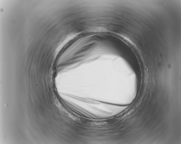 X0000054431325200508262337