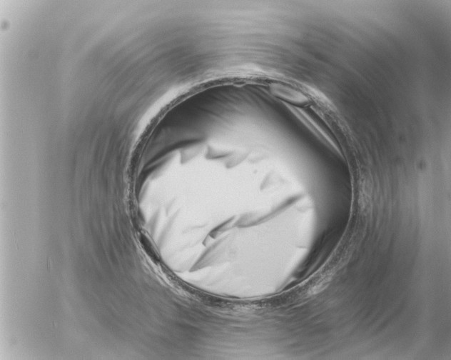 X0000054431326200508262337