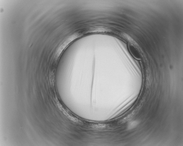 X0000054431329200508262337