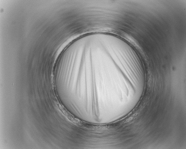 X0000054431332200508262337