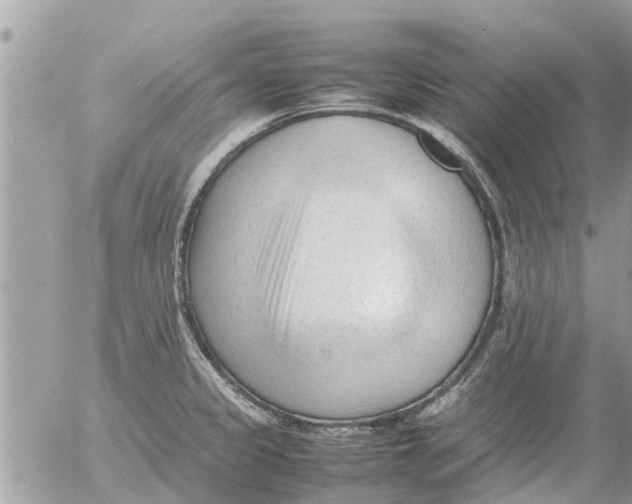 X0000054431333200508262337