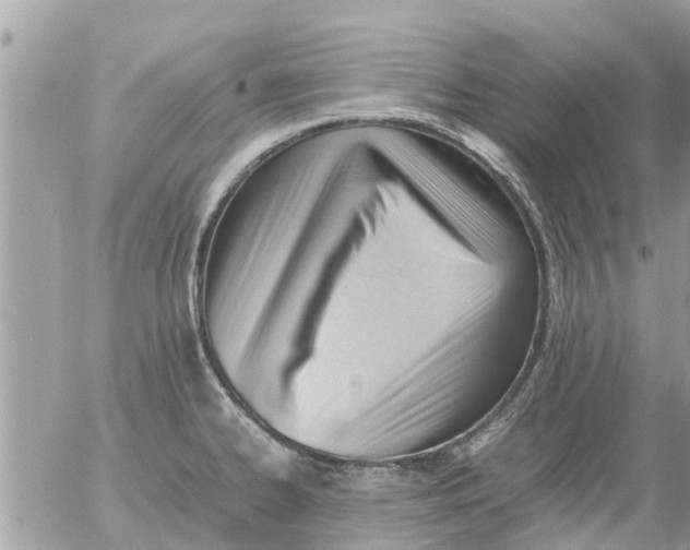 X0000054431334200508262337