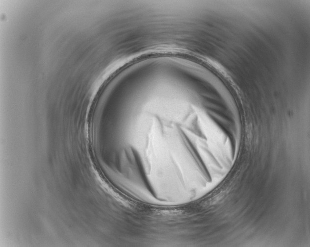 X0000054431335200508262338