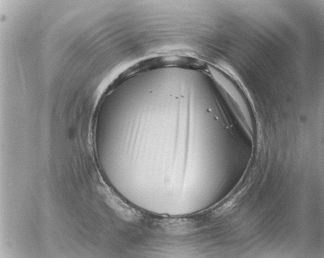 X0000054431336200508262338