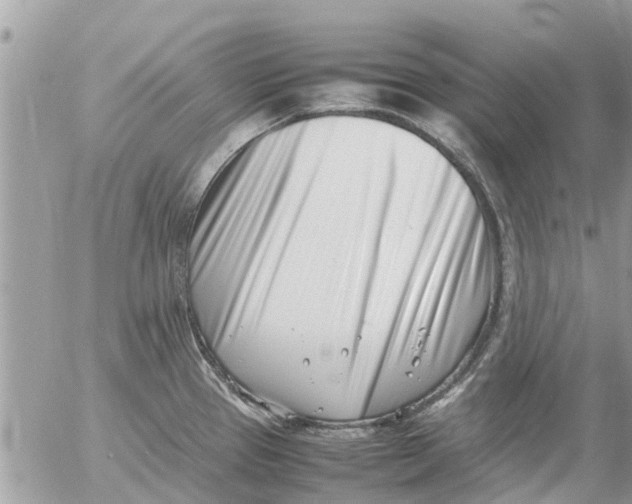 X0000054431337200508262338