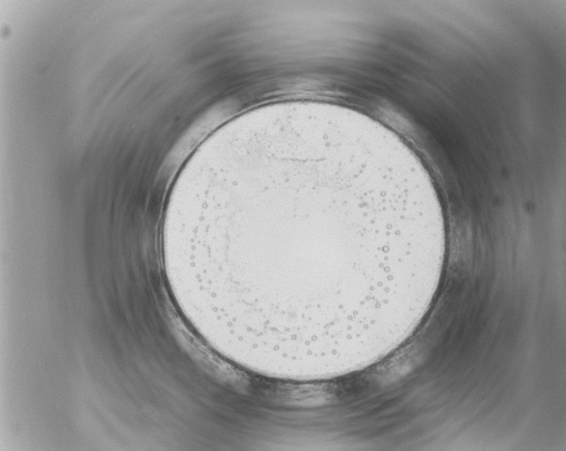 X0000054431338200508262338