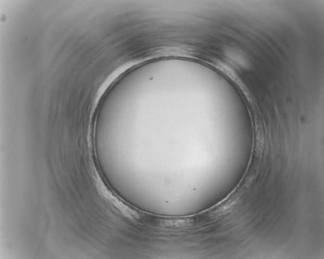 X0000054431339200508262338