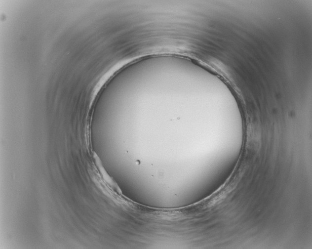 X0000054431340200508262338