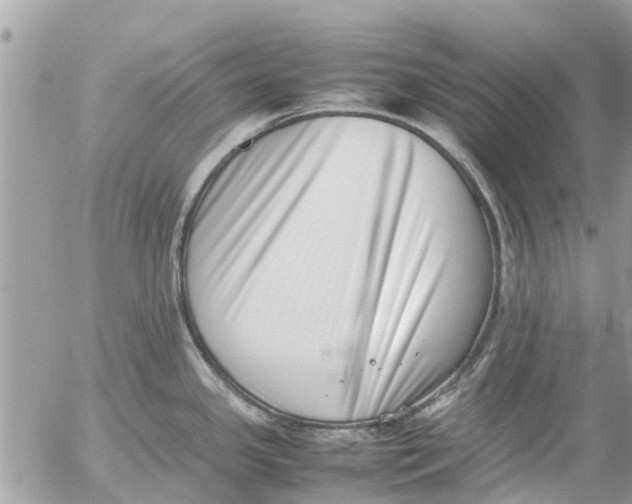 X0000054431341200508262338