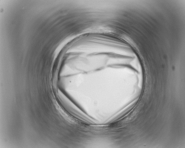 X0000054431344200508262338