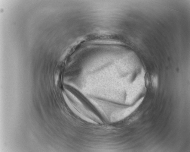 X0000054431348200508262337