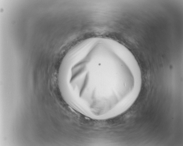 X0000054431349200508262337