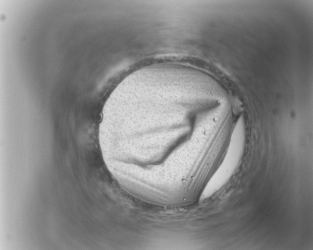 X0000054431351200508262337