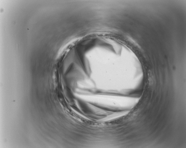 X0000054431352200508262337