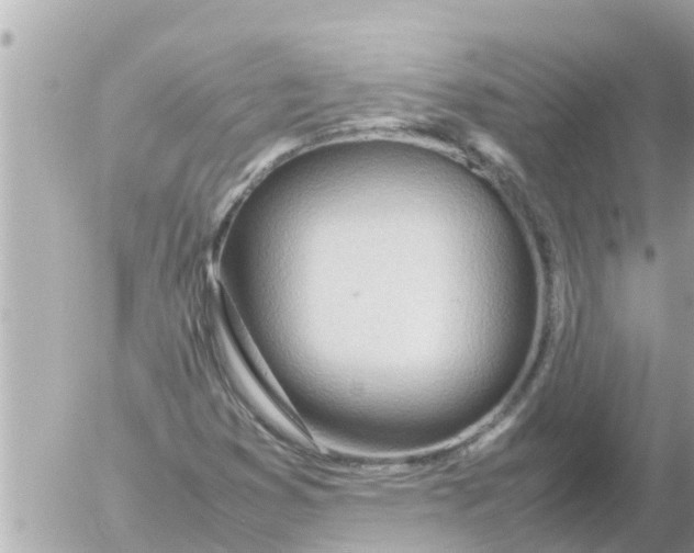 X0000054431353200508262337