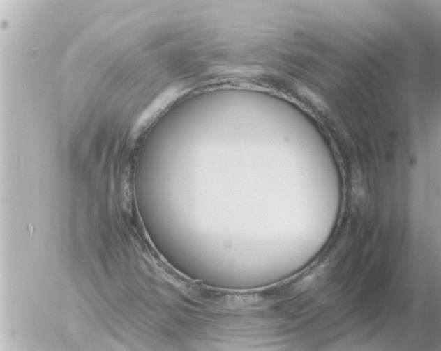 X0000054431354200508262337